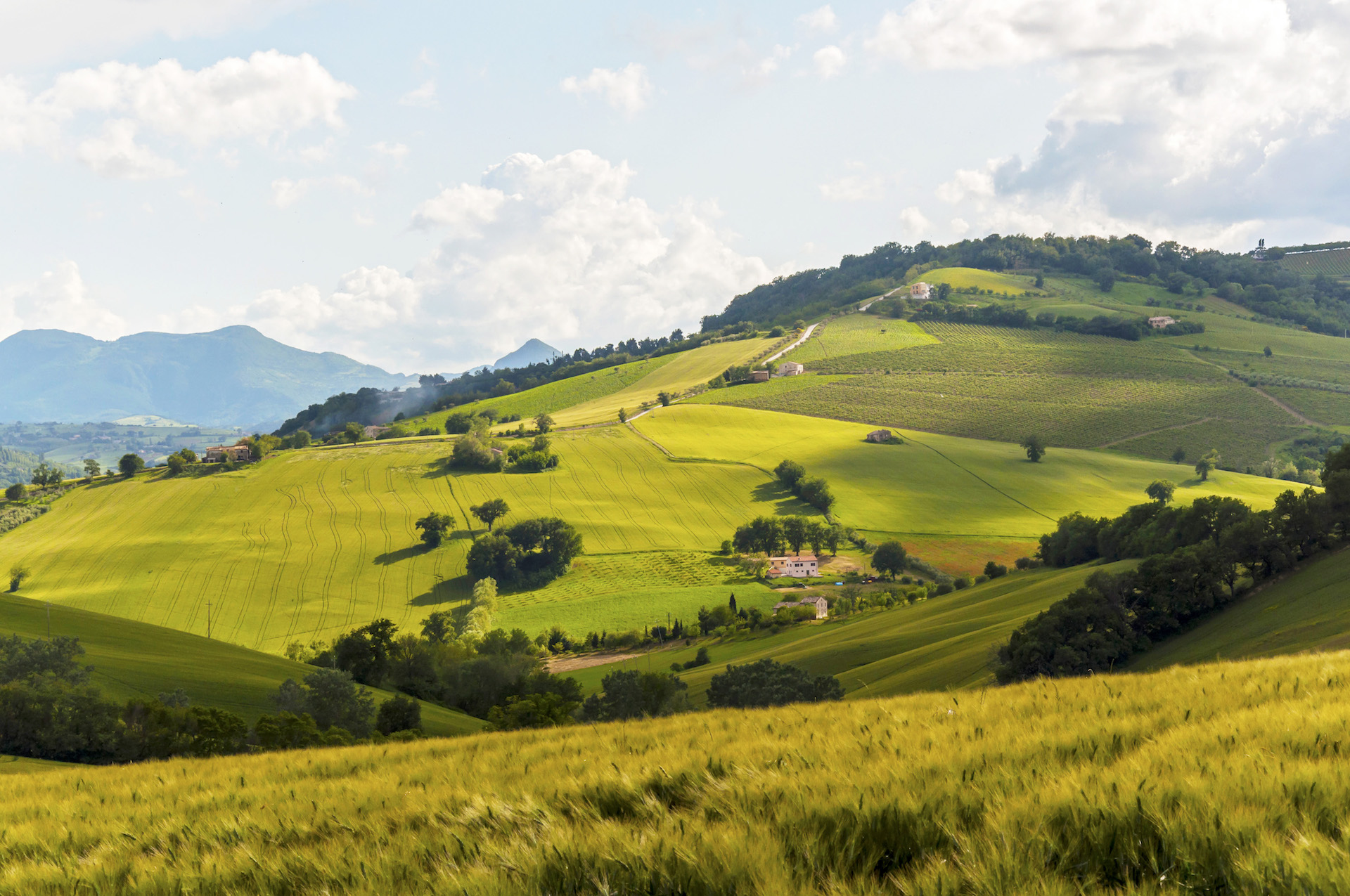 AgriCultura