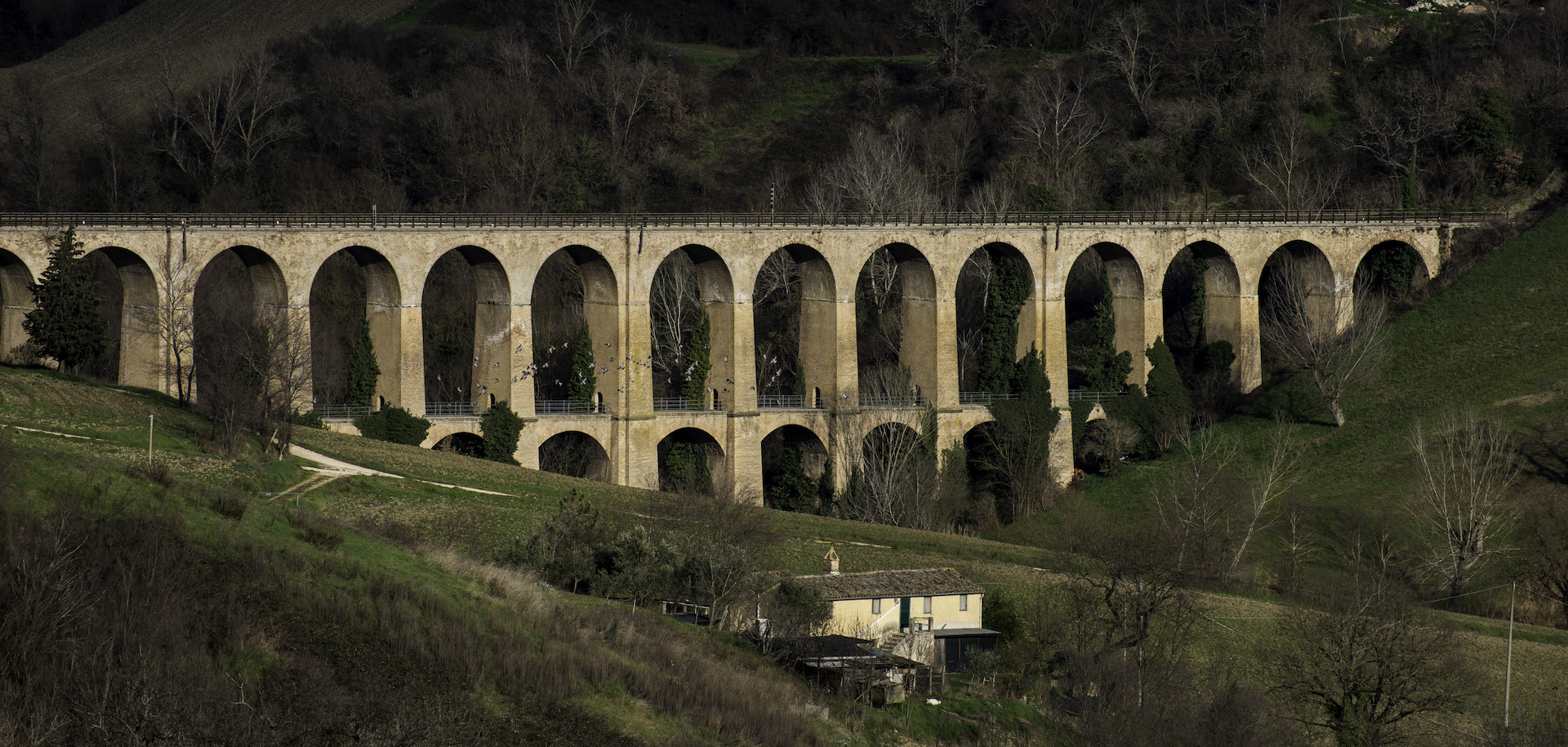 Bridges in Marche