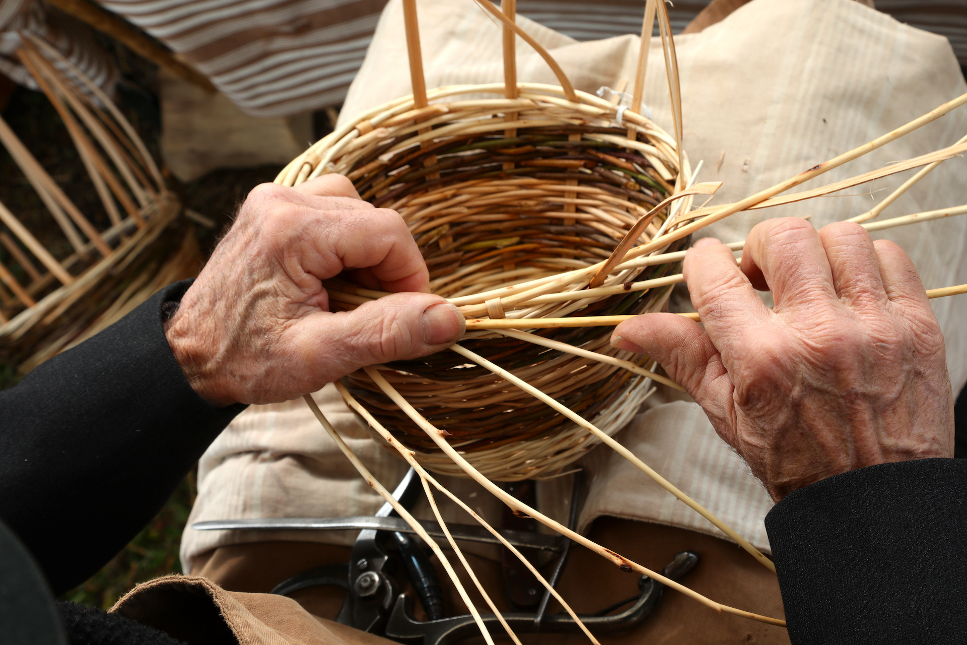 Cesteria e tradizione dell’intreccio