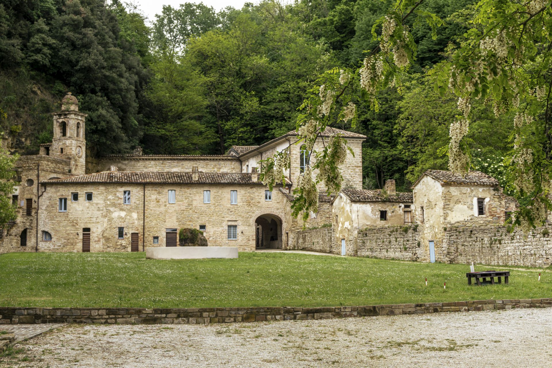 Il bosco e l’Eremo dei Frati Bianchi